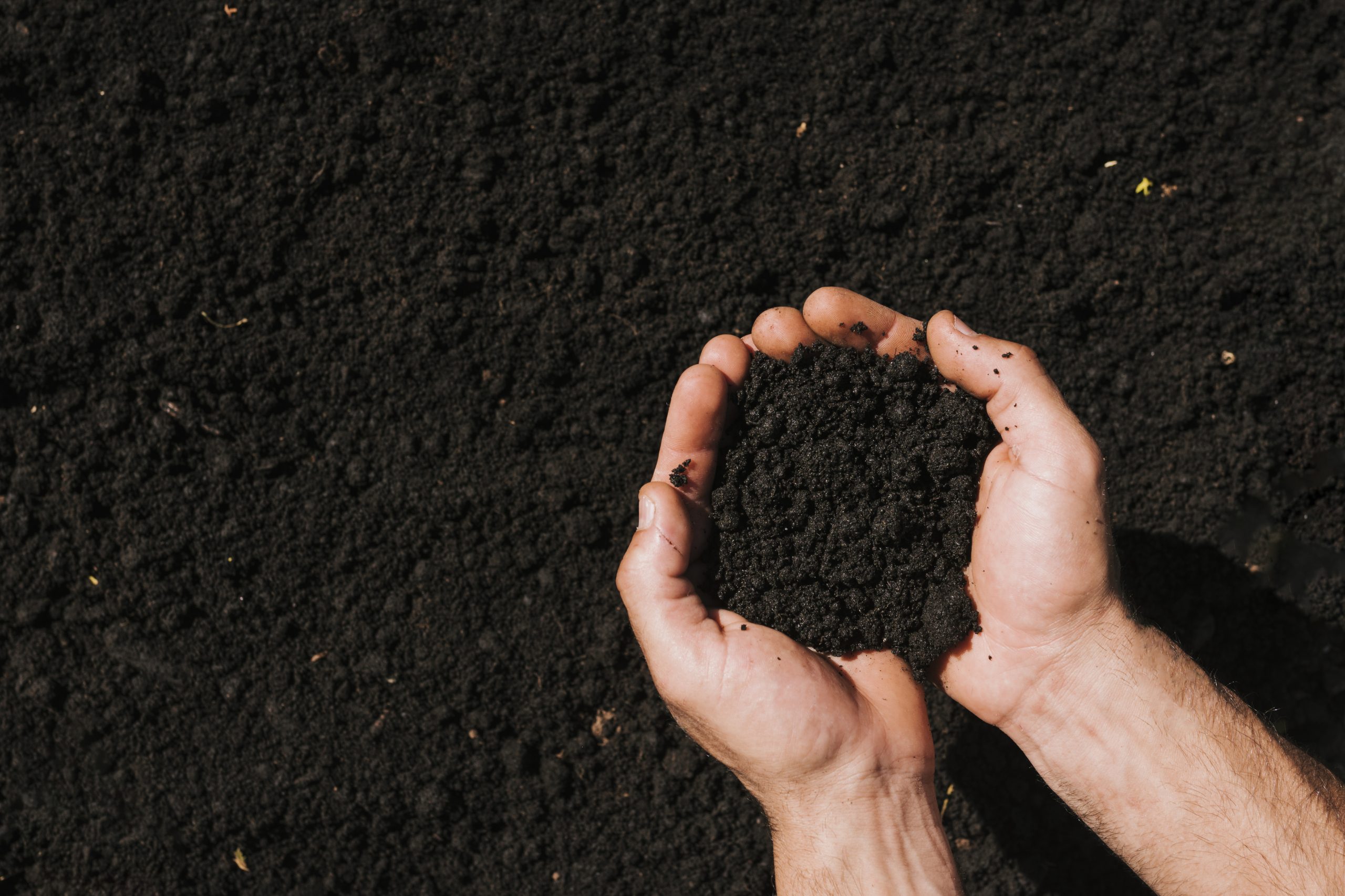 flat-lay-hands-holding-soil